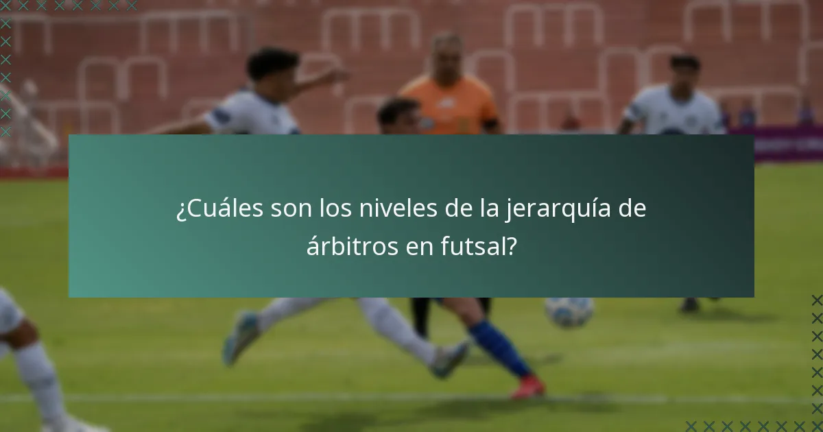 ¿Cuáles son los niveles de la jerarquía de árbitros en futsal?